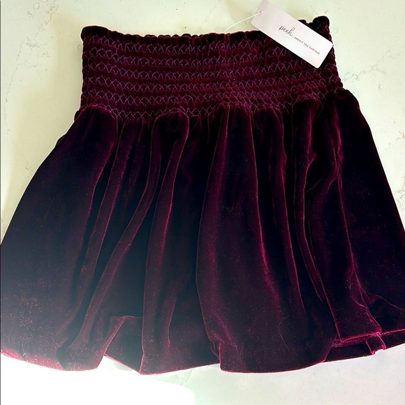 NWT Peek…aren’t you curious Velvet Pixie Skirt size 10 - Picture 3 of 3